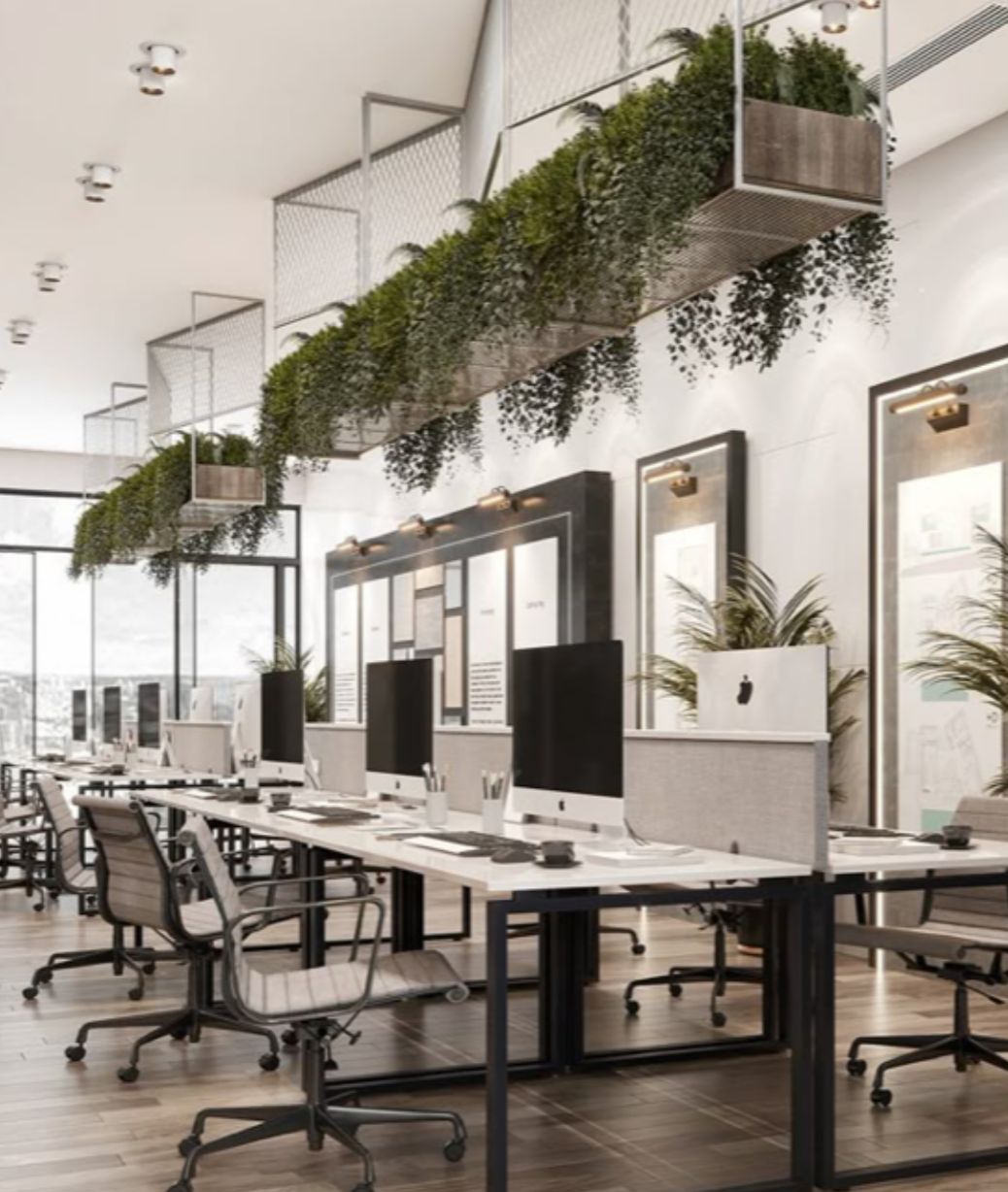 Espace formation Neosen IO
